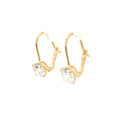 Classic Drop Earrings