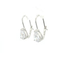 Teardrop Drop Earrings