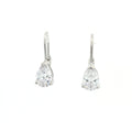 Teardrop Drop Earrings