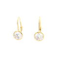 Bezel Drop Earrings