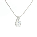 The Everyday Pendant