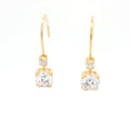 Double Drop Earrings