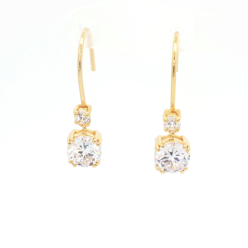 Double Drop Earrings