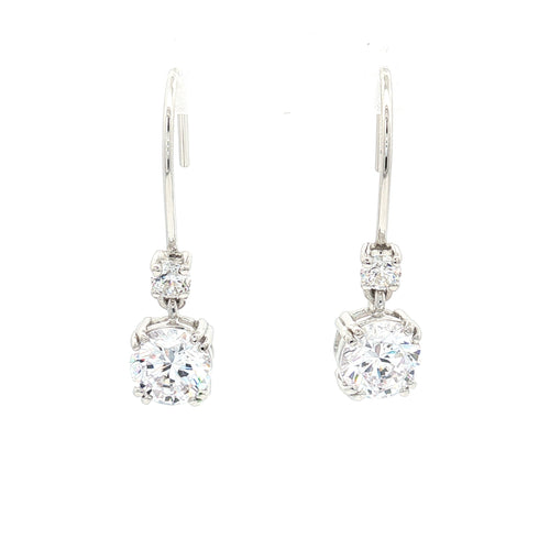 Double Drop Earrings