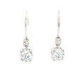 Double Drop Earrings