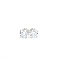 Everyday Classic Stud Earrings