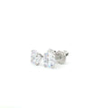 Everyday Classic Stud Earrings