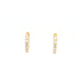 Huggie Hoop Earrings