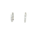 Huggie Hoop Earrings