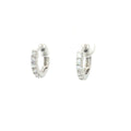 Huggie Hoop Earrings