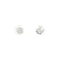 Moon Shaped Earrings