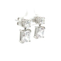Brilliant and Radiant Cut Drop Earrings