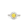 Halo Setting Ring with Small Brilliants with Yellow Centre Stone