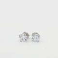 Everyday Classic Stud Earrings